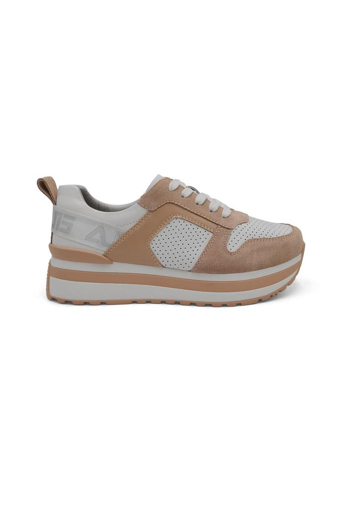 Palmer White & Beige