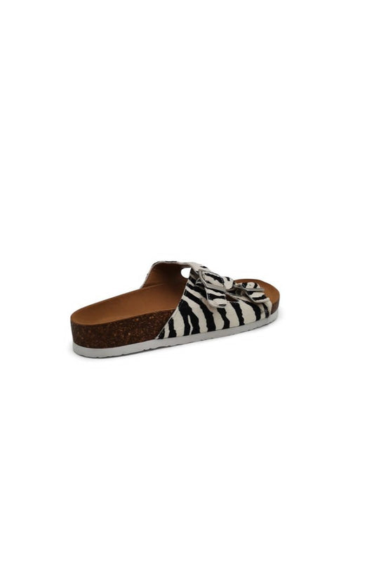 Boston Zebra