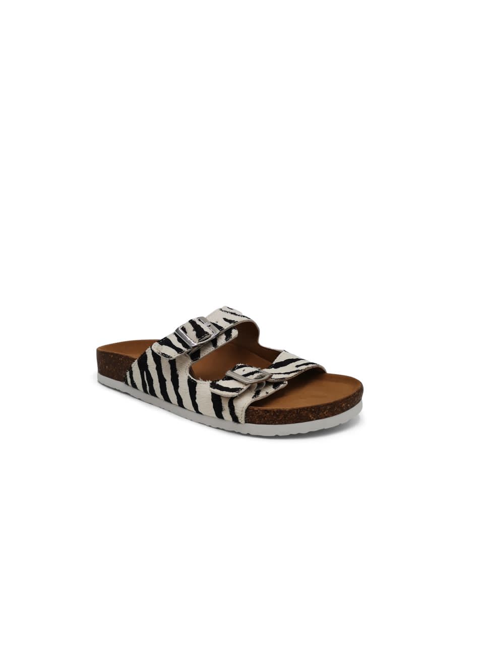 Boston Zebra